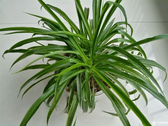 榮耀note8好不好？榮耀note8上手使用后深度評測