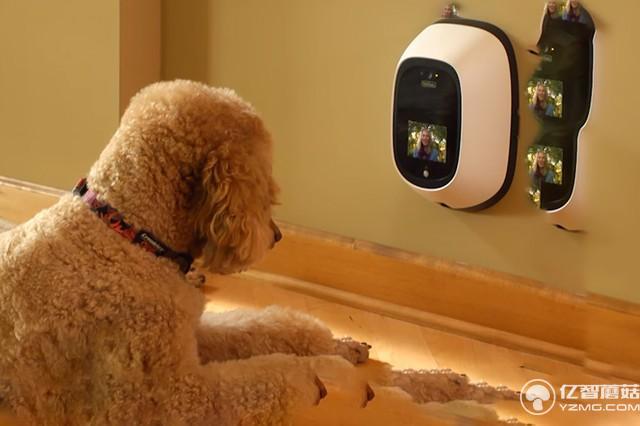 這個攝像頭讓你隨時和狗狗交談 對喵星人沒用