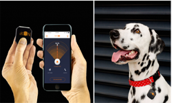 iKon智能追蹤器：再也不怕丟東西了