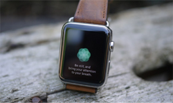 讓這些可穿戴設(shè)備   加點觸感或許變得更有用