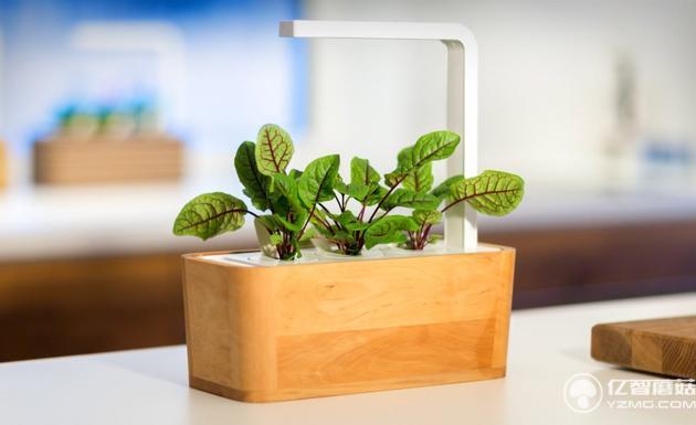 智能盆栽和Edyn植物檢測棒 懶人養(yǎng)花草必備