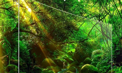 OLED電視發(fā)展受阻？三星第二代量子點(diǎn)SUHD電視優(yōu)勢(shì)解析