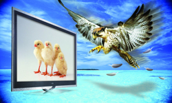 夏普LCD與LED電視的區別對比分析