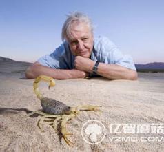 大衛(wèi)愛登堡 自然紀(jì)錄片之父作品集 大衛(wèi)愛登堡 自然紀(jì)錄片之父作品集