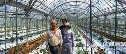 都說谷歌的人工智能高大上 那就先說說如何幫農民分揀黃瓜