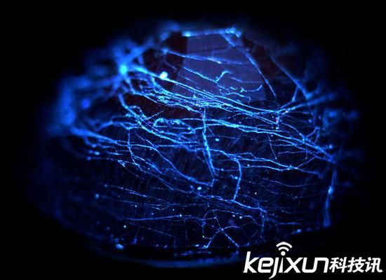 為穿戴而生的大猩猩SR+ Apple Watch 2也將應用?