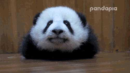 小時候你玩過竹馬嗎?現在升級版來了 超高級!