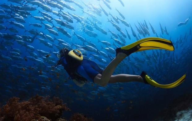 變身潛水俠 這個水下呼吸系統(tǒng)輕便又智能