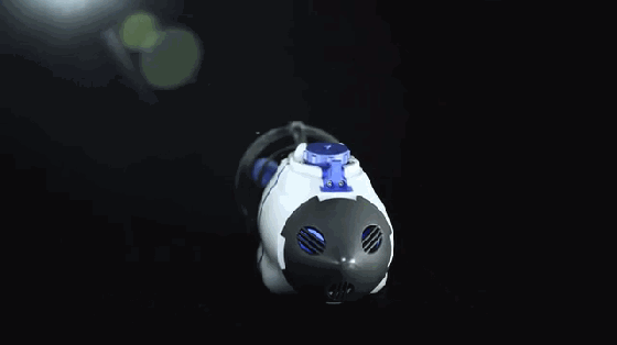 有了這個玩意你會驚嘆：美人魚竟然是這么養成的！