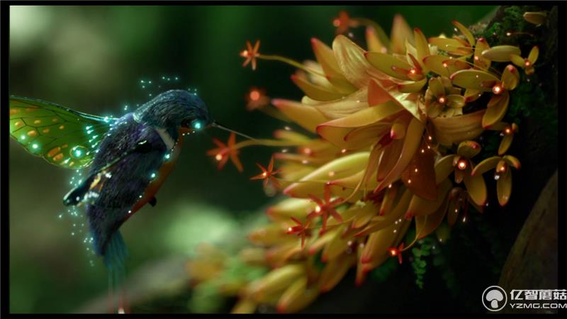 小米盒子3增強(qiáng)版本地視頻播放