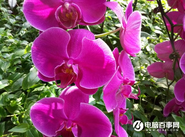 魅藍E半月使用體驗評測：品質實力不輸顏值