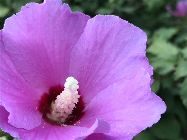 iPhone7/7 Plus評(píng)測(cè):依然是目前體驗(yàn)最好的手機(jī)