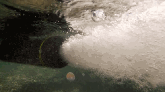 水上運動噴氣發動機來了 可實現運動器材電動化