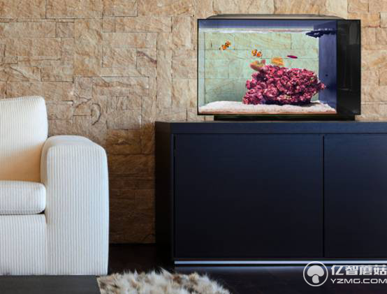 想要魚兒更健康地成長？ 看看這款智能水族箱