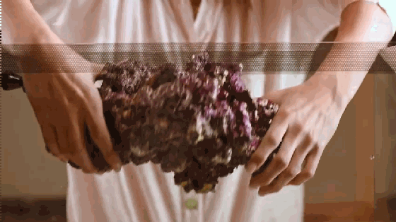 想要魚兒更健康地成長？ 看看這款智能水族箱