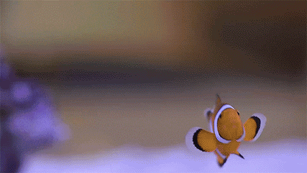 想要魚兒更健康地成長？ 看看這款智能水族箱