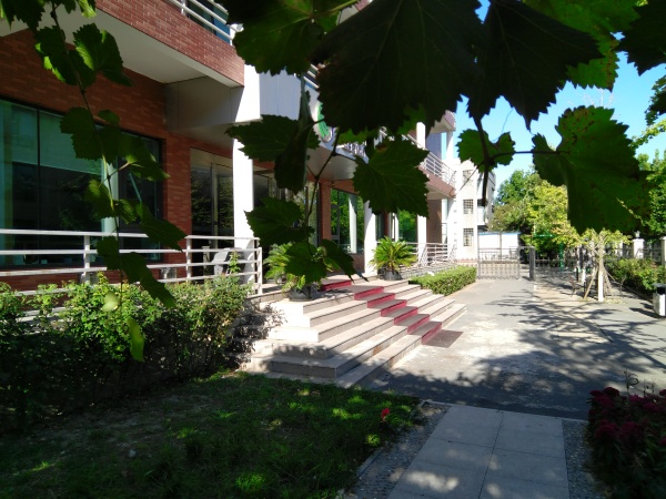 ZUK Z2和紅米Pro拍照哪個好?樣張區(qū)別對比