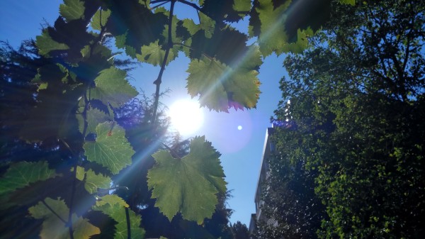 ZUK Z2和紅米Pro拍照哪個好?樣張區(qū)別對比