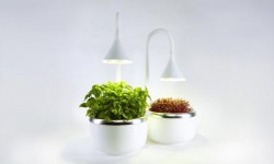 用SproutsIO在家種植有機蔬菜 有16種那么多