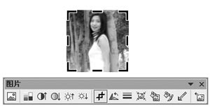  如何在PowerPiont里面裁剪圖片？