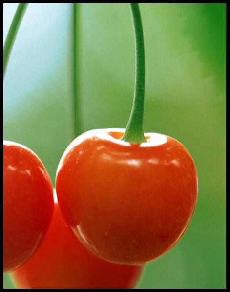 WPS文字技巧:和我一起畫櫻桃 三聯(lián)教程