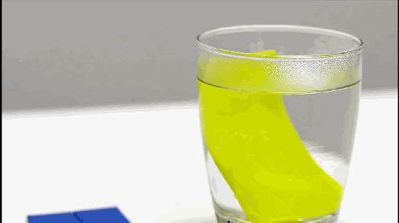 DIY超萌手機支架？只需要一分鐘和一杯熱水