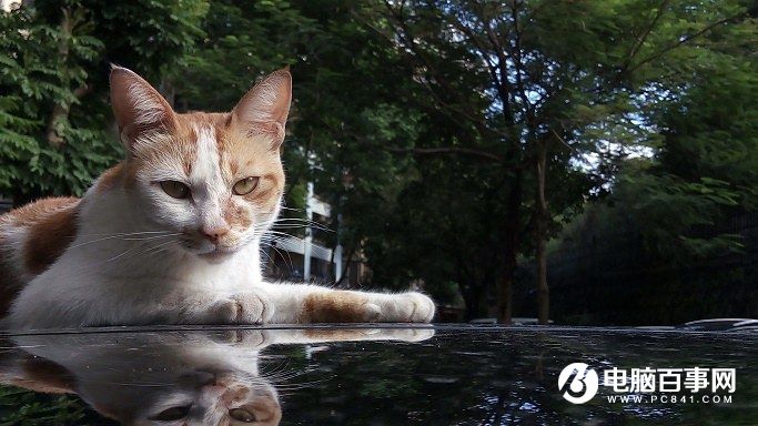 360手機N4A怎么樣 360手機N4A發布會圖文回顧