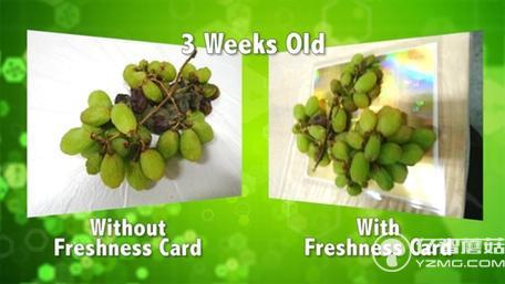 不浪費!這個保鮮卡能讓大大延長食物保質期