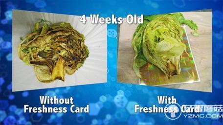 不浪費!這個保鮮卡能讓大大延長食物保質期