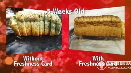 不浪費!這個保鮮卡能讓大大延長食物保質期