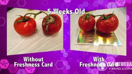 不浪費!這個保鮮卡能讓大大延長食物保質期