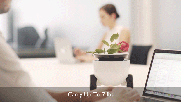 這款機(jī)器人不僅能賣萌 端茶送水逗寵物全精通