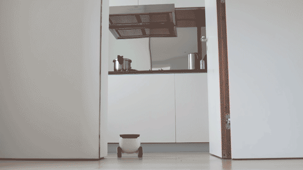 這款機(jī)器人不僅能賣萌 端茶送水逗寵物全精通