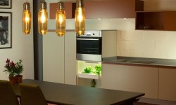 Vegidair迷你植物園能放到你家里   別在羨慕人家別墅有菜園