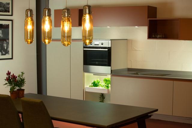 別羨慕人家別墅有菜園 這個農(nóng)場能放到你家里!