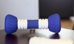 GoBone骨頭能和它們玩捉迷藏！汪星人愛死它了