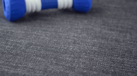 汪星人愛死它了!這根骨頭能和它們玩捉迷藏