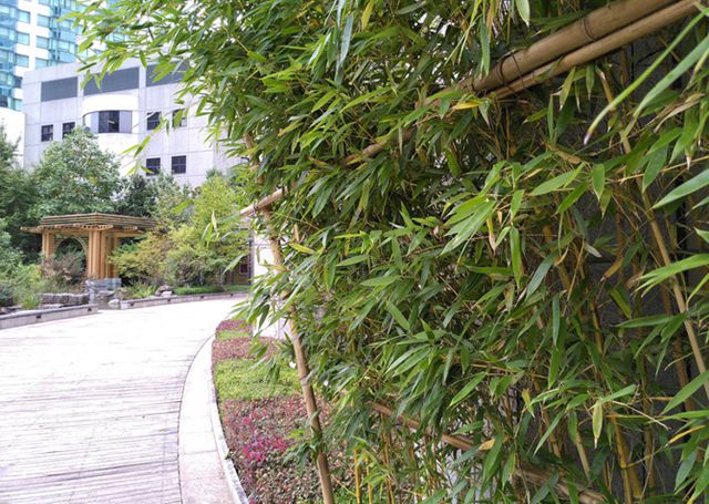 錘子M1L值得買(mǎi)嗎?錘子M1L評(píng)測(cè)