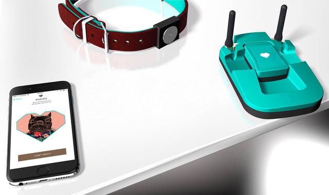 愛寵無人看護(hù)?別擔(dān)心人工智能已經(jīng)來了