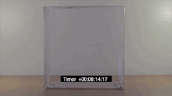 蚊香有毒？那試試這個可以驅蚊的空氣凈化器吧