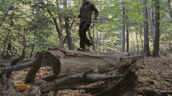 穿脫都超方便!能自動調節松緊的運動鞋來了