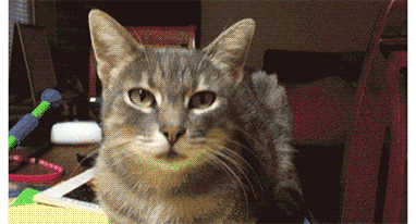 你見過懸浮充電,那你見過燈泡給手機充電嗎?