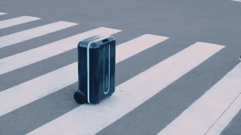 有了可自動跟主人走的行李箱 去哪兒都能成焦點