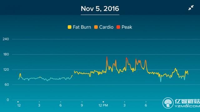 飛利浦Health Watch上手:只專注健康但有點貴