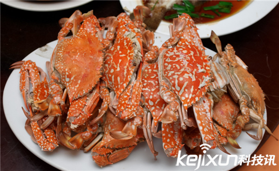 VR虛擬味覺技術已誕生 可以邊減肥邊享受美食