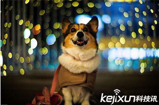 如何拍攝出美麗漂亮的虛化照片:焦外成像的核心