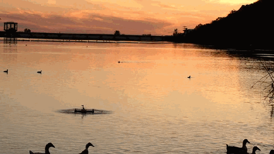 釣不到魚？試試這款聲吶探魚無人機(jī)