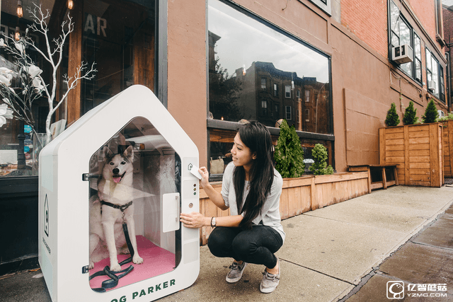 這個智能狗窩能有償“看狗” 再不怕出門丟狗
