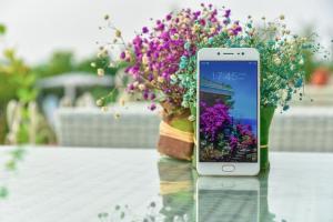 為什么有很多人看不起OPPO和vivo？