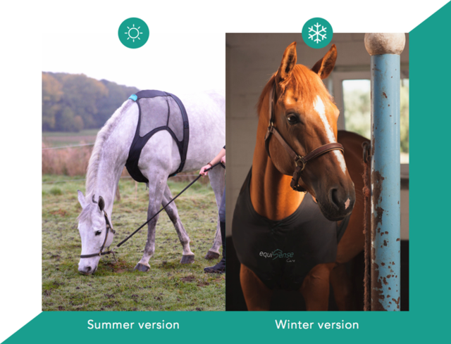 養(yǎng)馬的壕在哪呢?這是專為馬設(shè)計的可穿戴設(shè)備